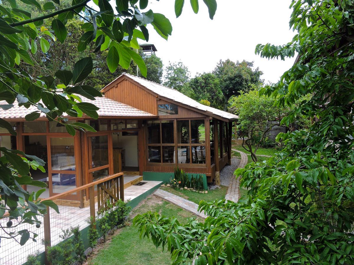Morada Flor Da Terra